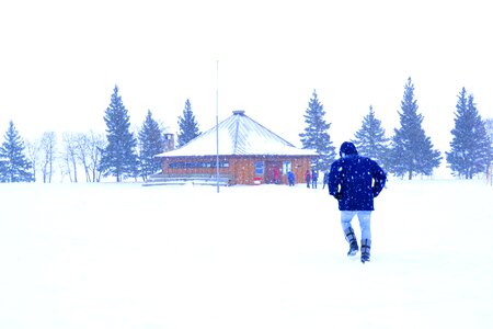 House scenery white ground
