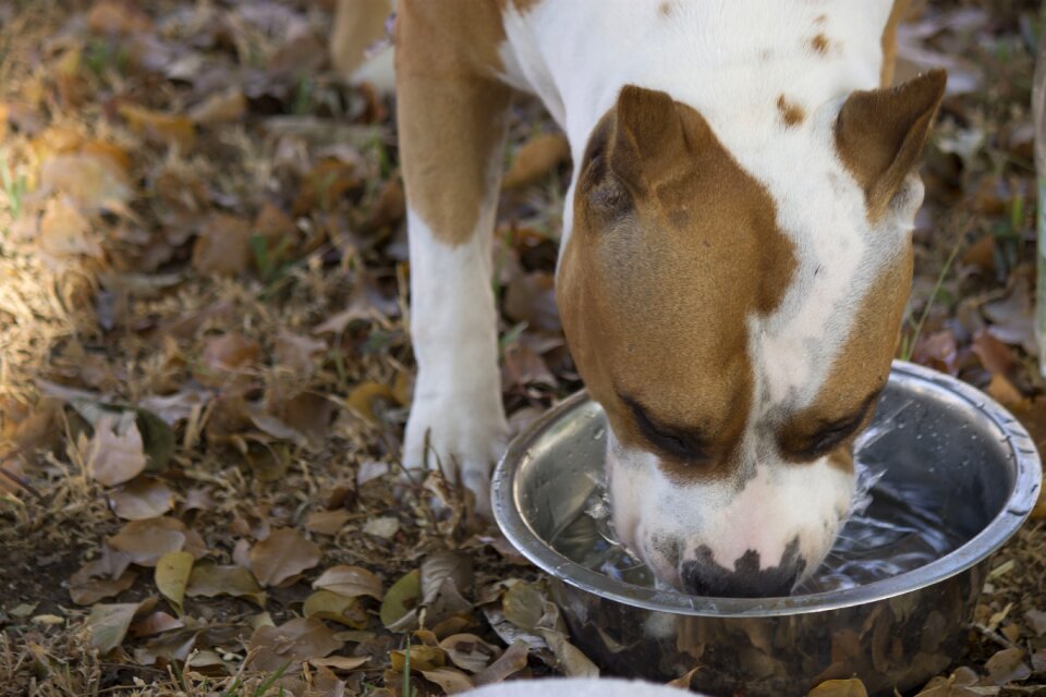 Thirsty drink hydration