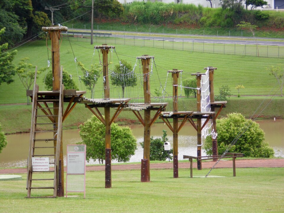 Tree climbing system enchants