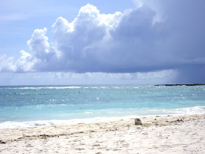Beach riviera maya mexico