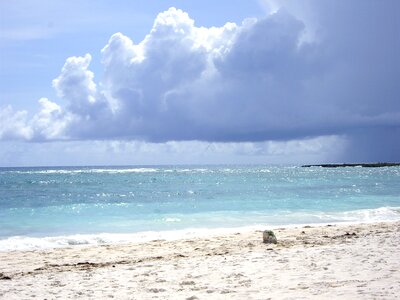 Beach riviera maya mexico photo