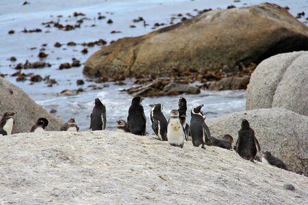 Beautiful beach boulders beach
