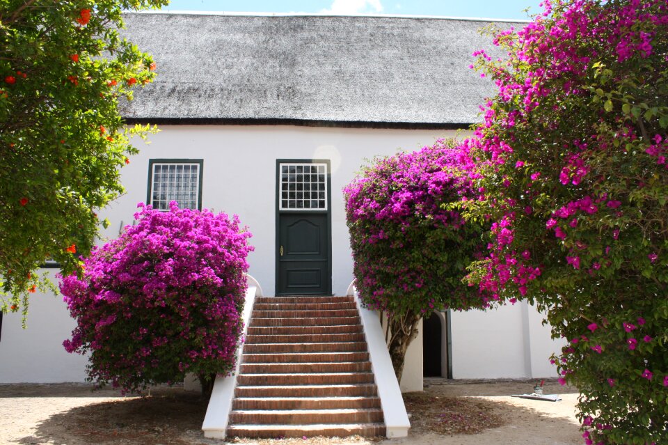 Stairs to house winelands stately