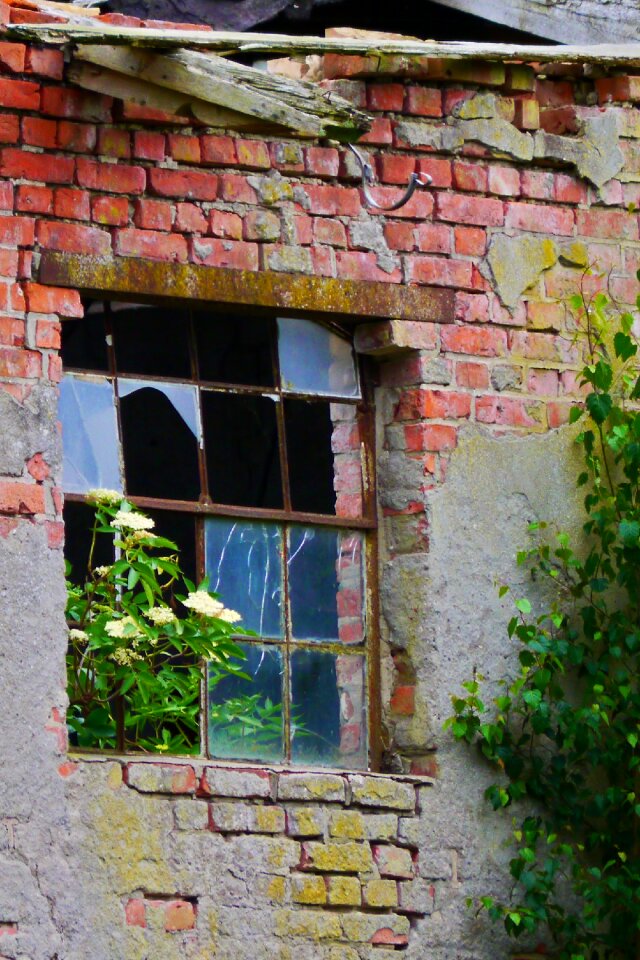Lapsed old building old window frames