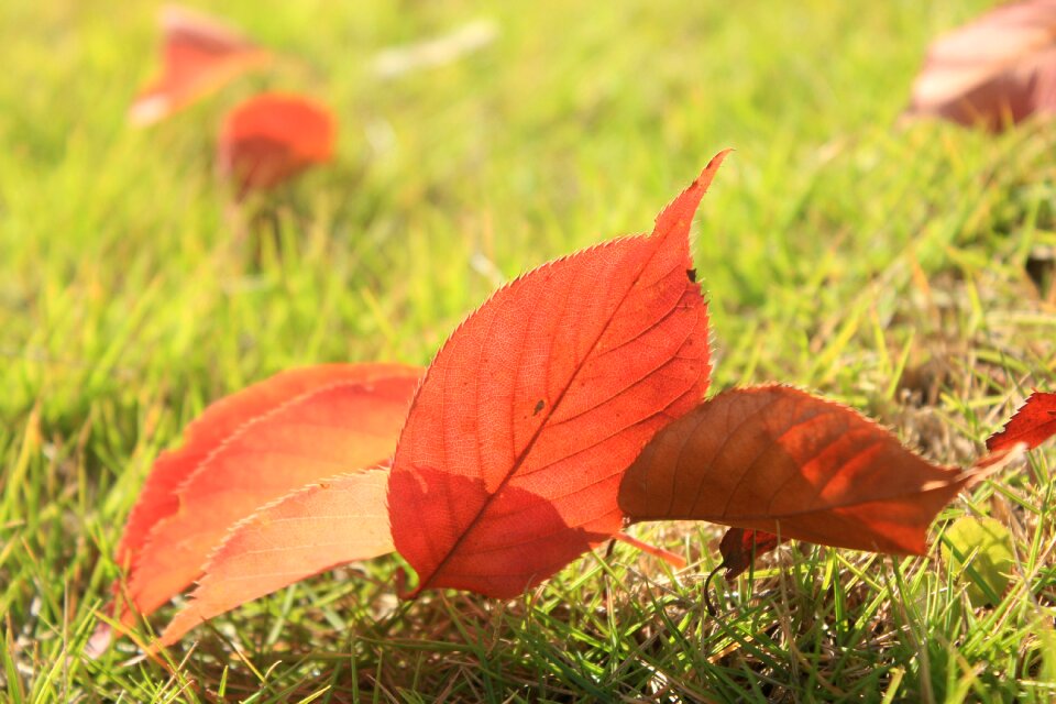 Autumn properties eason chan