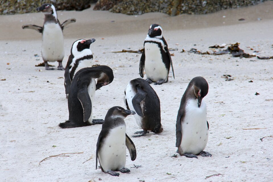 Beautiful beach boulders beach