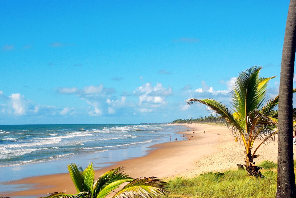 Beach shore holiday