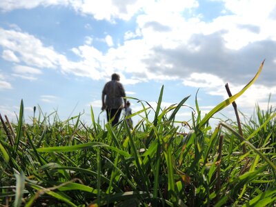 Heaven summer meadow