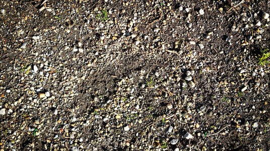 Background texture garden