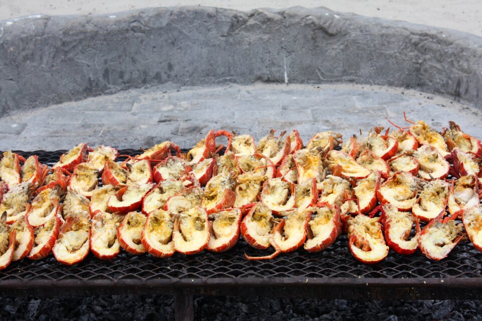 Grilling lobster delicacy eat