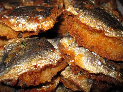Cook kitchen mediterranean cuisine
