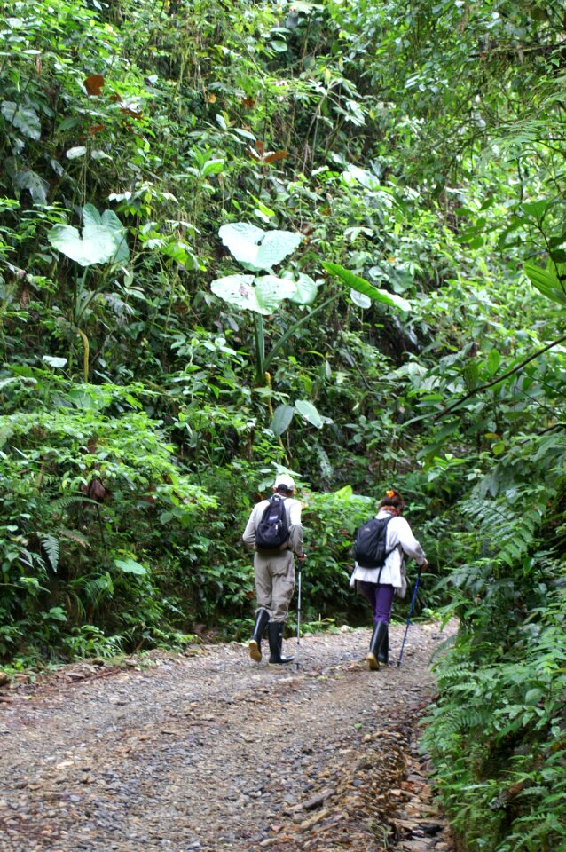 Latin america idyll wanderer