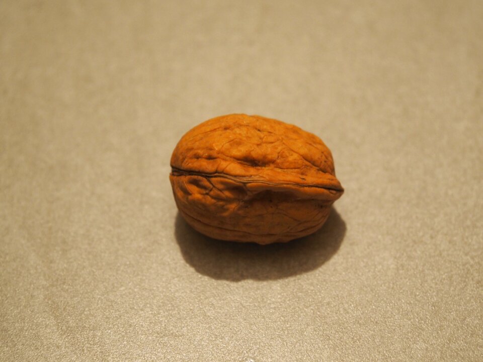 Fruit nut fruit tree