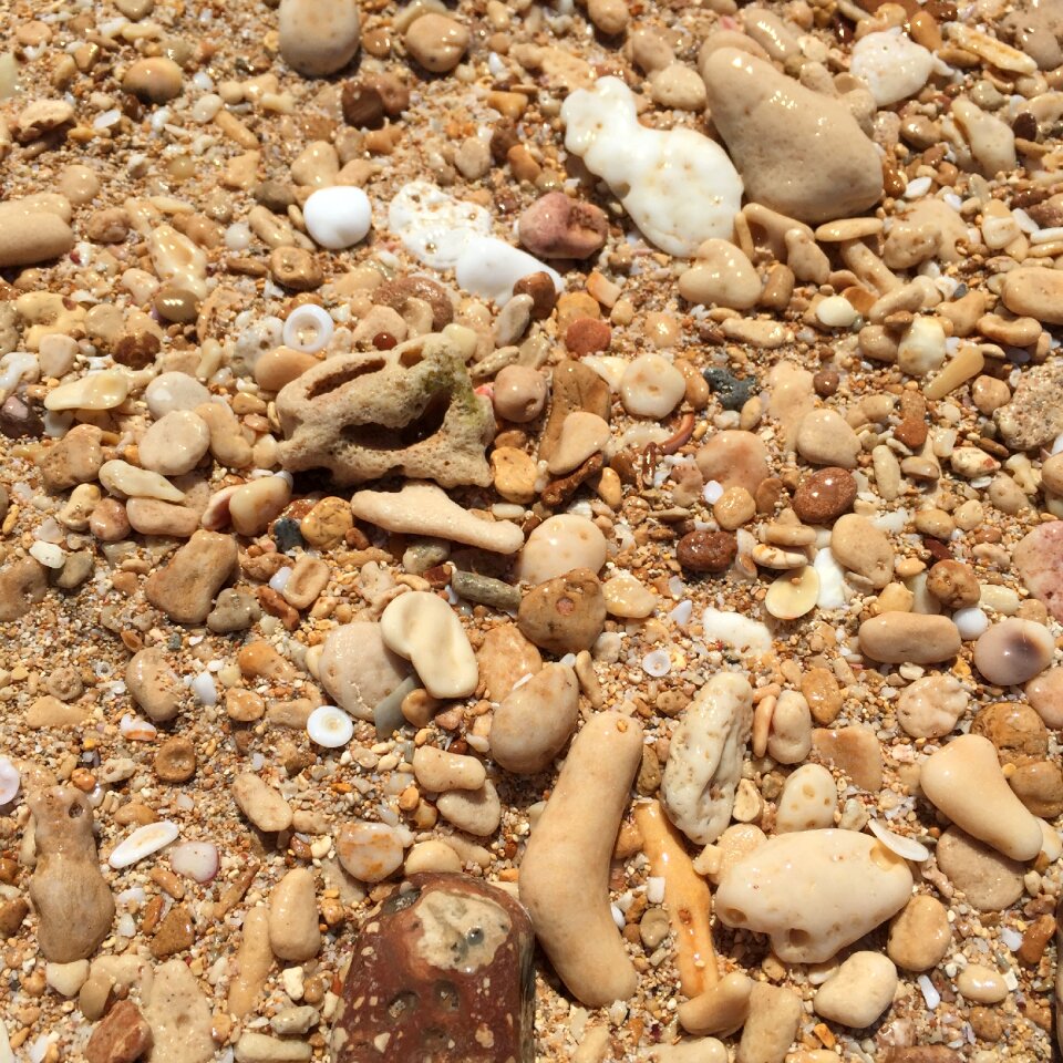 Sand sea summer