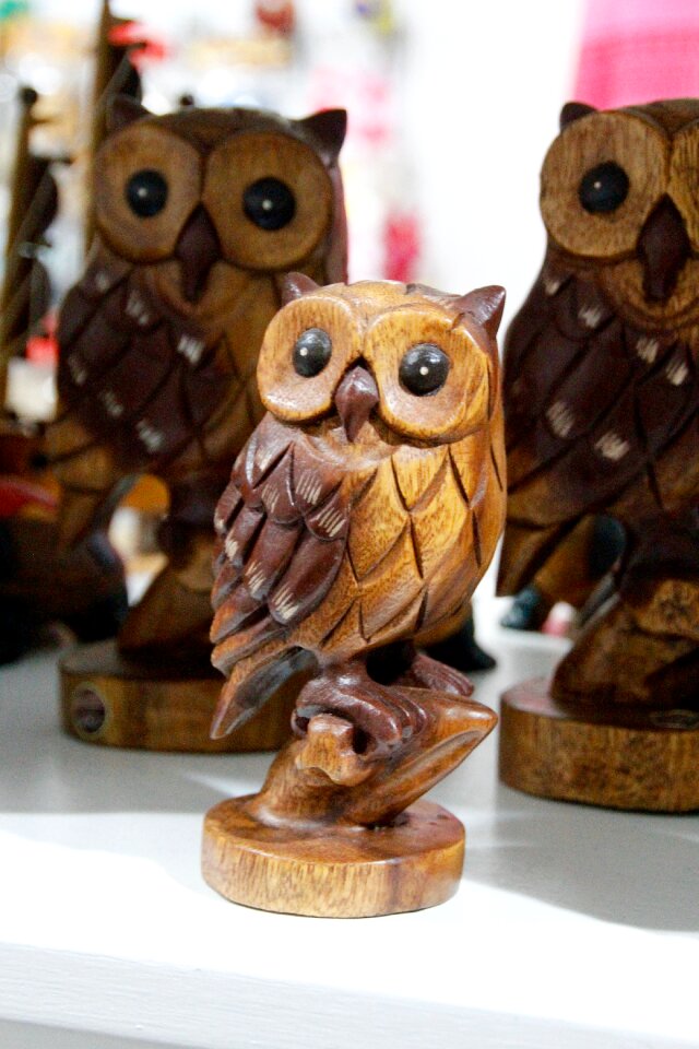 Bird feather eurasian eagle european owl