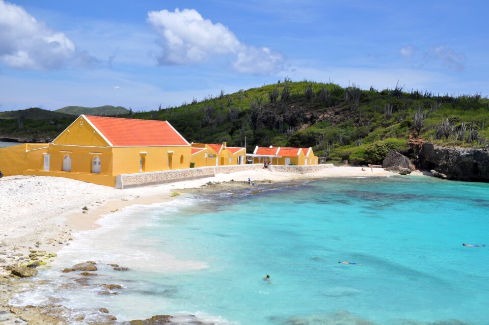 Paradise house landscape