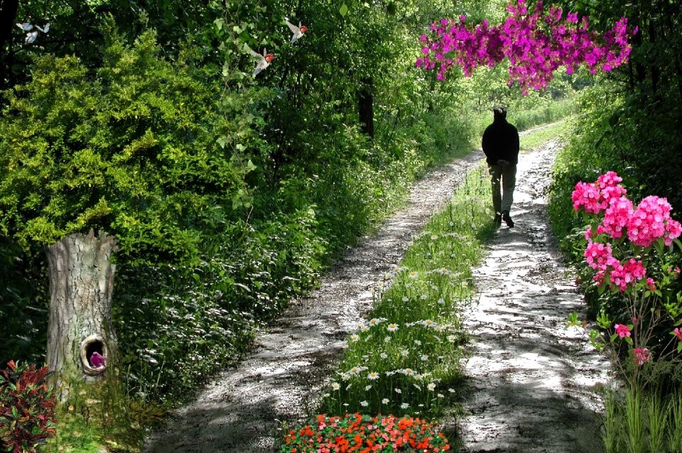 Path road florida