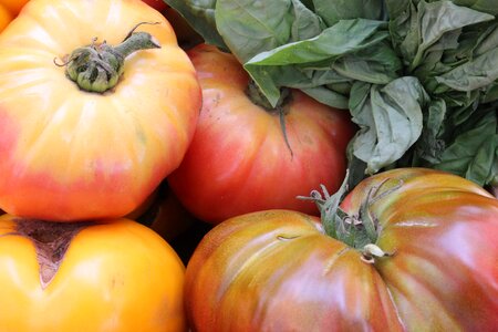 Vegetable red healthy