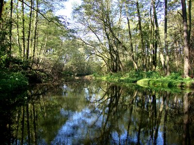 Poland nature river photo