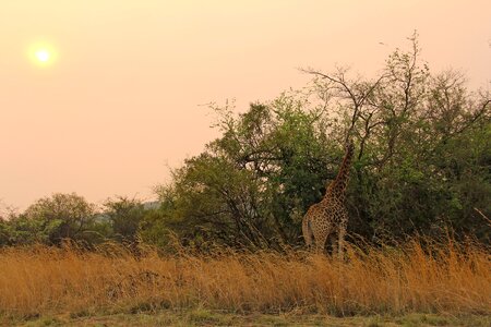 Adventure safaris scenic
