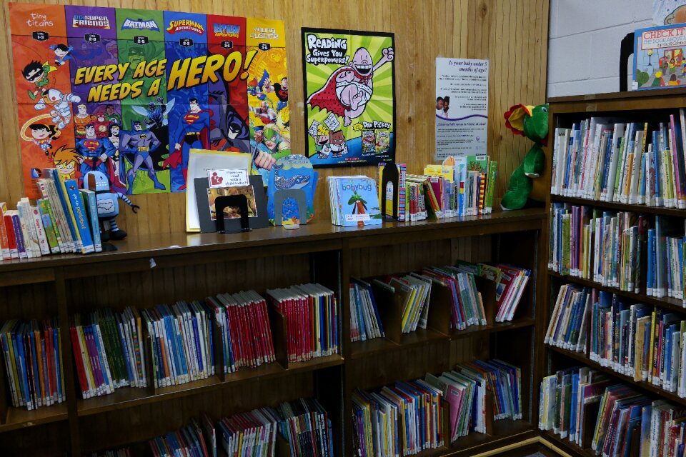 Bookshelf bookcase educational
