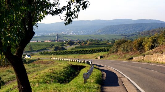 Nature sachsen wine region