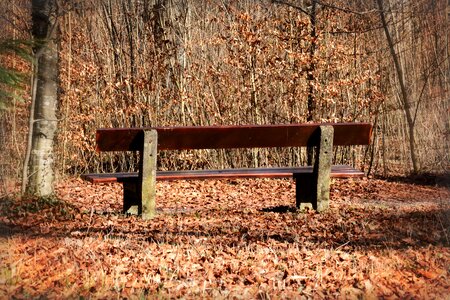 Nature out rest