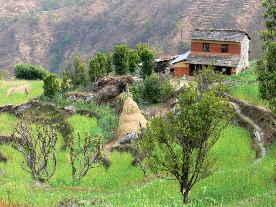 Nepal rice fields countryside photo