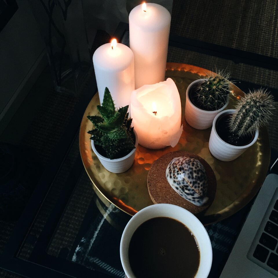 Light cactus interior design