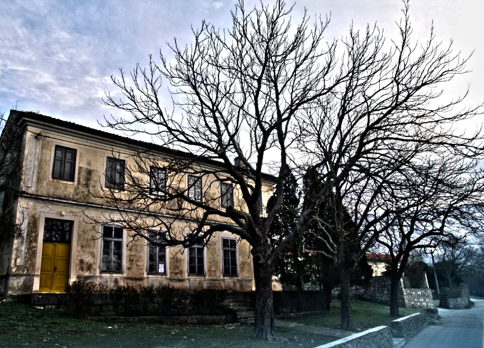 Landscaping istria foggy