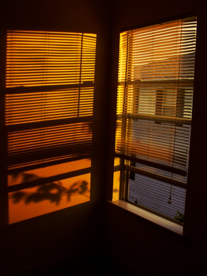 Window view warm scenery