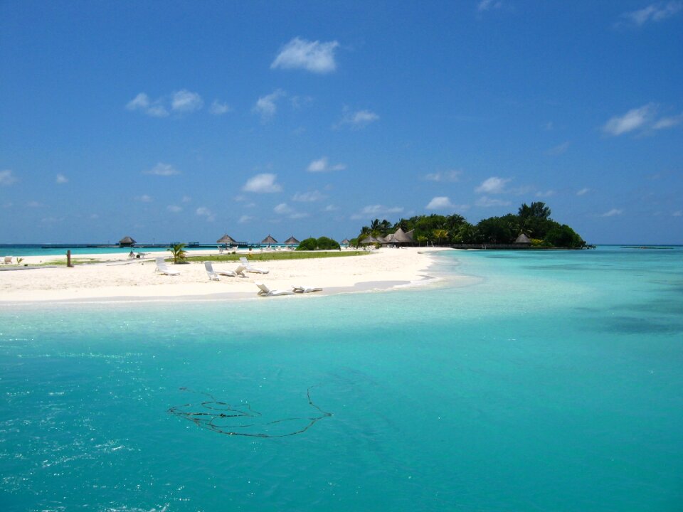 Beach north male atoll palms photo