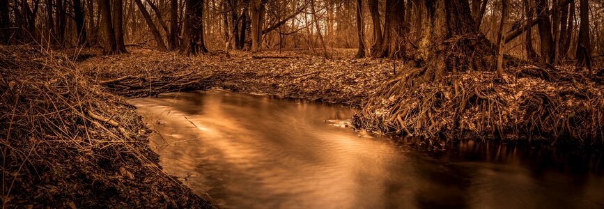 Nd-filter fog fall color