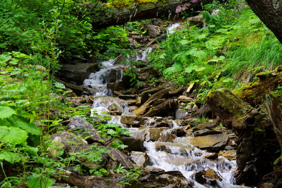 River switzerland flowing photo