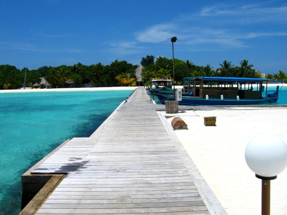 Beach north male atoll palms