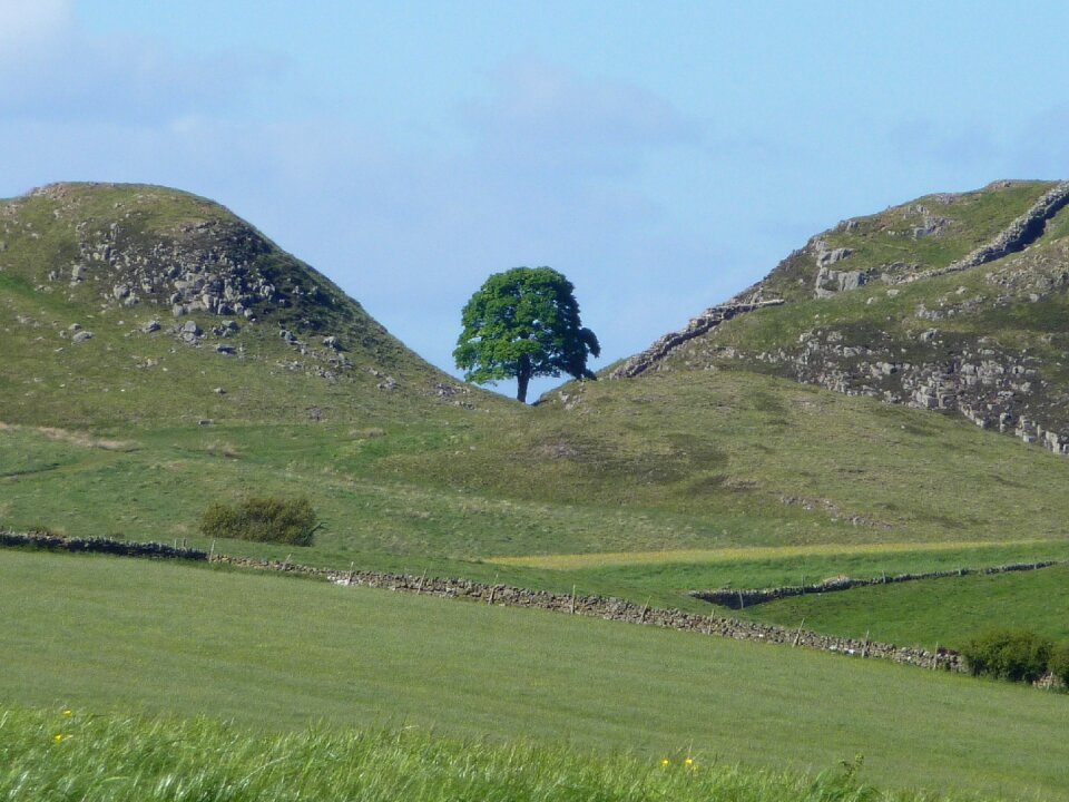 North east tourism green wall