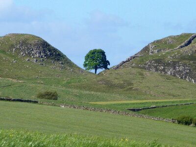 North east tourism green wall
