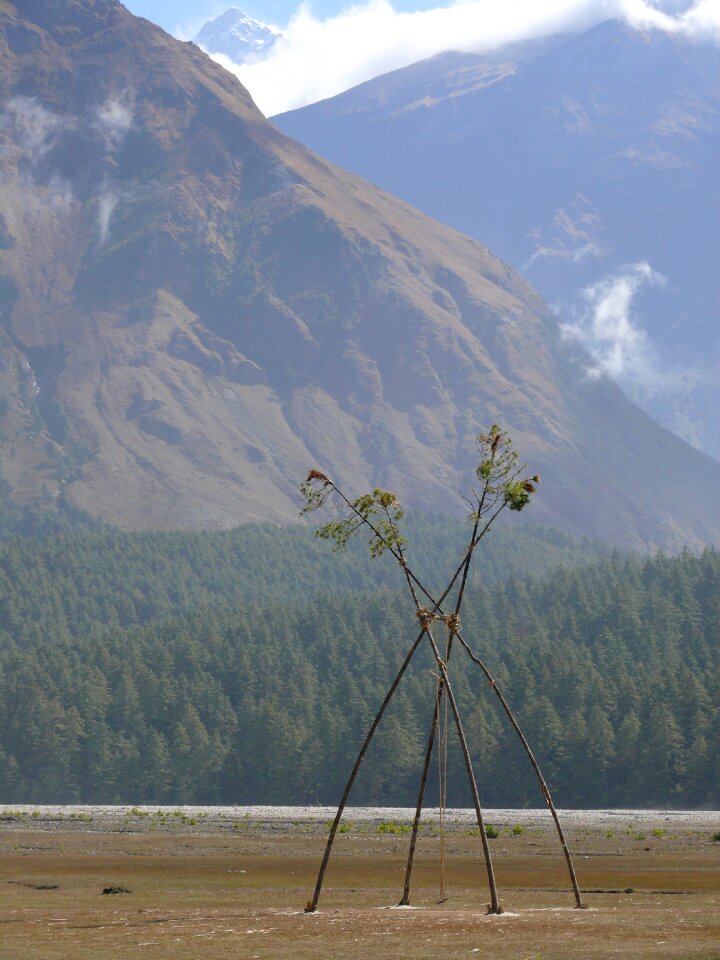 Bamboo nepal landscape