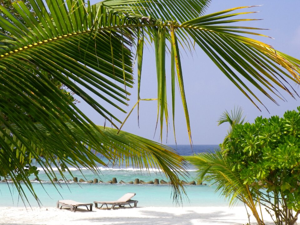 Beach sea maldives