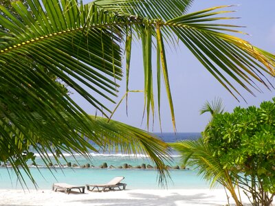 Beach sea maldives photo