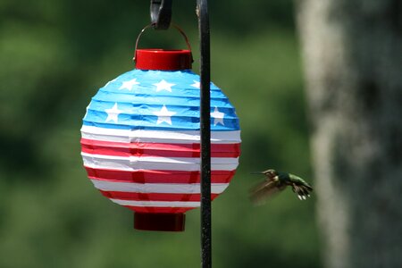 July 4th independence