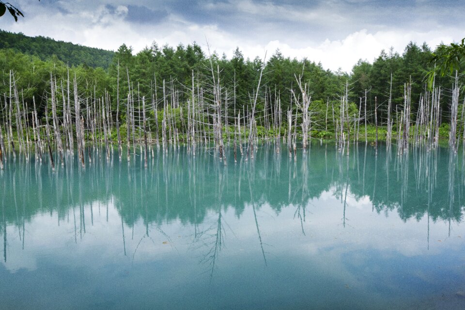 Lagoon lake japanese lake