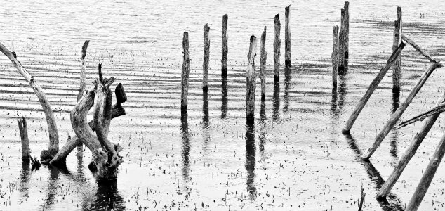Reflection scenic