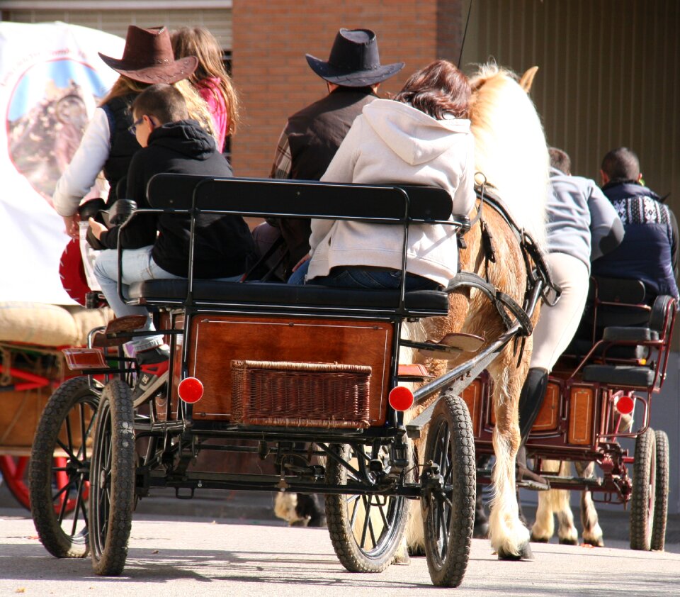 Horse-drawn carriage horse party in family