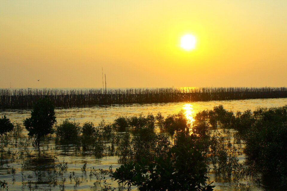 Pu samutprakarn bang poo