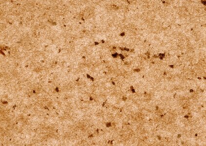 Brown background