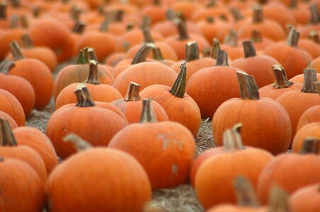 Halloween october