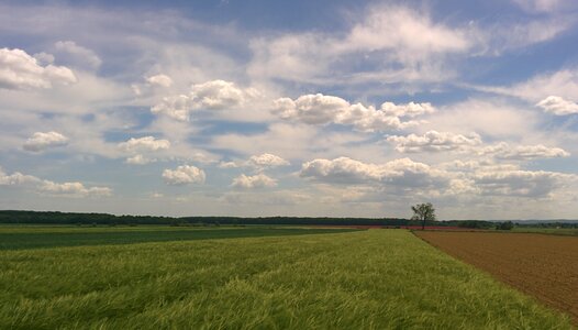 Landscape nature sky