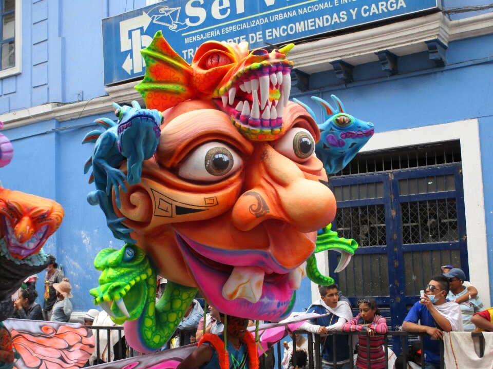 Carnival grass mask
