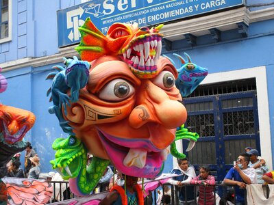 Carnival grass mask